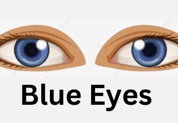 Blue Eyes Personality: Myths, Traits, and Fascinating Perceptions