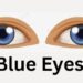 Blue Eyes Personality: Myths, Traits, and Fascinating Perceptions
