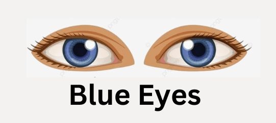Blue Eyes Personality: Myths, Traits, and Fascinating Perceptions