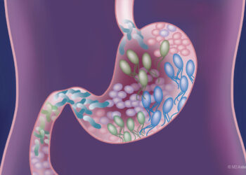 gut health cleanse