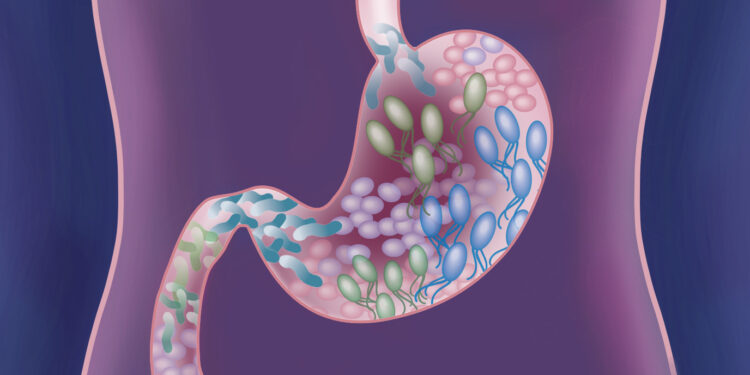 gut health cleanse