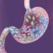 gut health cleanse